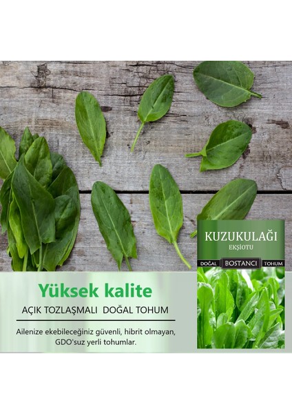 Yerli Kuzukulağı Ekşiotu Tohumu Doğal Yerli Tohum Pakette 100 gr 100000 Tohum fiyatları