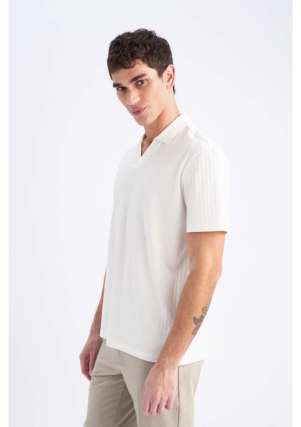 Regular Fit Polo Yaka Krinkıl Kısa Kollu Tişört E1207AX25SM modelleri