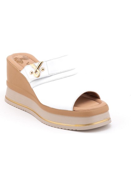 2510904 Kadın Terlik fiyatları