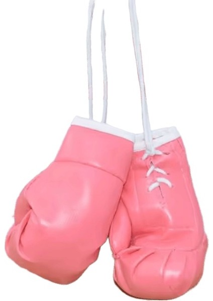 Baihu 10CM Mini Boks Eldiveni Çanta Charm Pendan Anahtarlık Adam Boks Eldiveni Mücadele Anahtarlık A (Yurt Dışından)