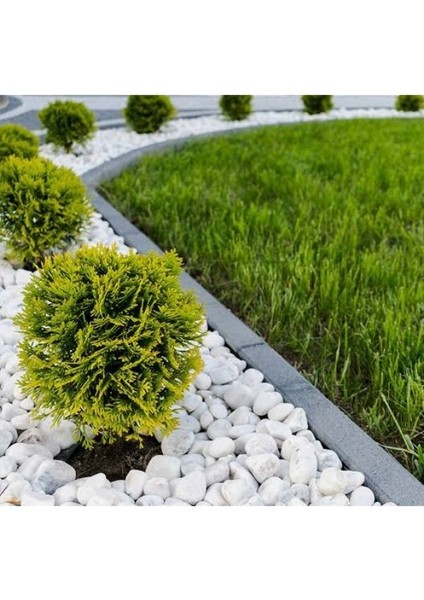 Dolomit Taşı 20 kg fiyatları