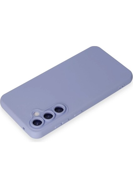 Samsung Galaxy S24 Plus Kılıf Nano Içi Kadife Silikon - Lila Nrmsa
