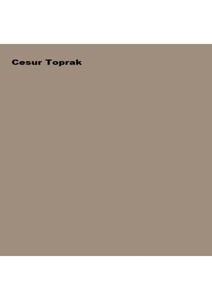Plastik Mat Iç Cephe Boyası Cesur Toprak 15 Lt (20 Kg)