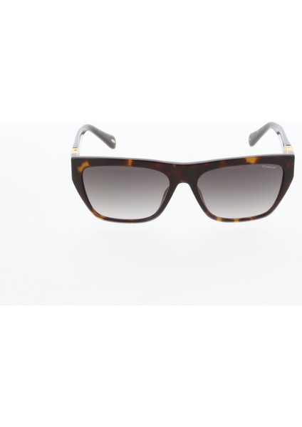 OS3649 02 Kadın Güneş Gözlüğü