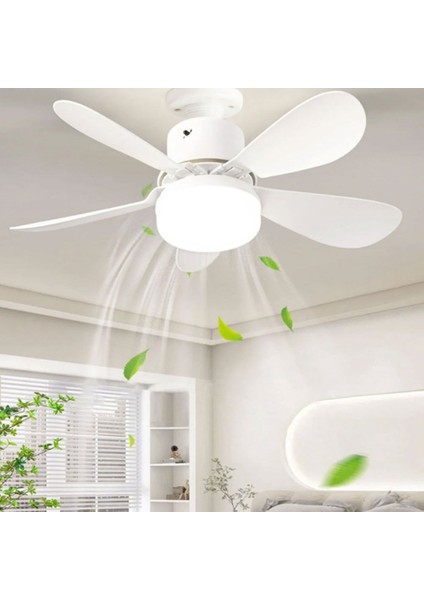 CT-1153 Poyraz Fan LED Ampul