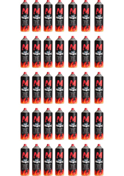 Yangın Söndürücü Sprey 500 ml 30LU