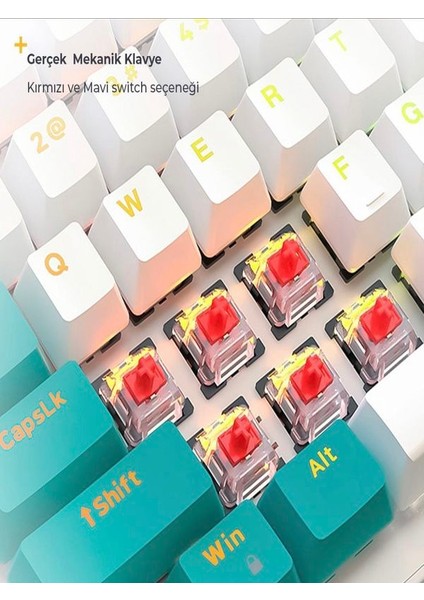 9 Full Rgb Aydınlatma Modlu %100 Kablolu Gerçek Mekanik Klavye Oyuncu Klavyesi Gamer Pubg