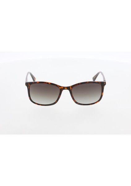 MU2504 03 Erkek Güneş Gözlüğü fiyatları