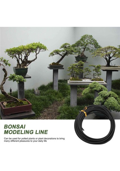10 Rulo Bonsai Teli 5 Boyutta Eloksallı Alüminyum Bonsai Eğitim Teli - 1,0 Mm, 1,5 Mm, 2,0 Mm, 2,5 Mm, 3,0 mm Siyah (Yurt Dışından)