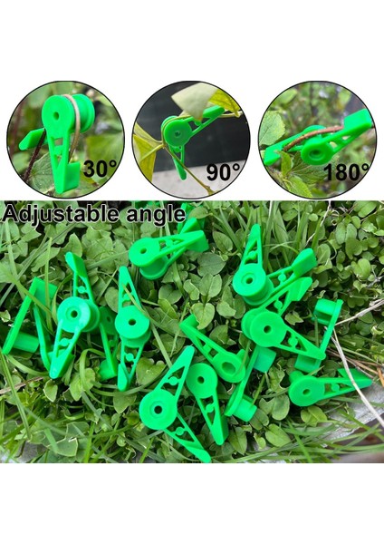 30 Adet 360 Derece Bitki Kök Eğitici Klipler, Ayarlanabilir Bitki Dalları Bükücü Klipler, Bitkilerin Bitki Eğitim Kontrolü (Yurt Dışından) indirimleri