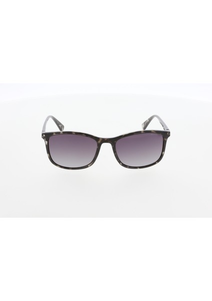 MU2504 04 Erkek Güneş Gözlüğü