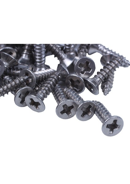 100X Paslanmaz Çelik Düz Başlı Yıldız Vida 12X3MM Gümüş (Yurt Dışından) fiyatları