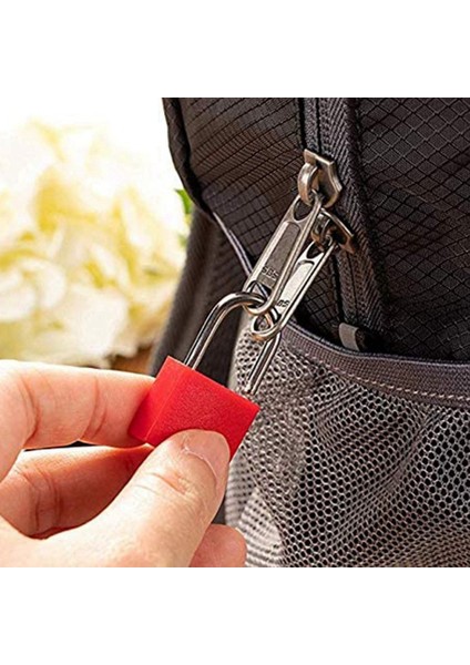 8 Paket Kilitler Küçük Asma Kilit Anahtar Bagaj Spor Salonu Soyunma Kilidi Mini Renkli Asma Kilit Açık Okul Ev B Için (Yurt Dışından)