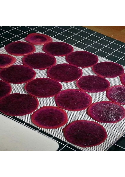 Gıda Kurutucu Için Kurutucu Levha, 10 Adet 29X37CM, Silikon Levhalar, Meyve Kurutucu Paspaslar, Silikon Kurutucu Levhalar (Yurt Dışından)