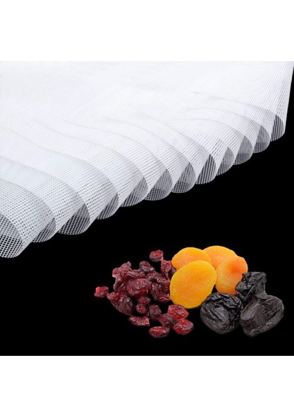 Gıda Kurutucu Için Kurutucu Levha, 10 Adet 29X37CM, Silikon Levhalar, Meyve Kurutucu Paspaslar, Silikon Kurutucu Levhalar (Yurt Dışından)