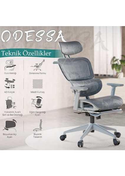 Odessa Fonksiyonel Çalışma Koltuğu