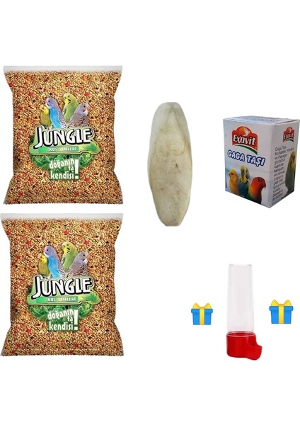 Muhabbet Kuşu Yemi 500 gr X2 Adet + Kalamar Kemiği+ Gaga Taşı Avantaj Paketi (Suluk Hediyeli)
