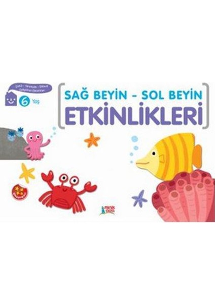 Minik Ada Yayınları Sağ Beyin Sol Beyin Etkinlikleri 6 Yaş