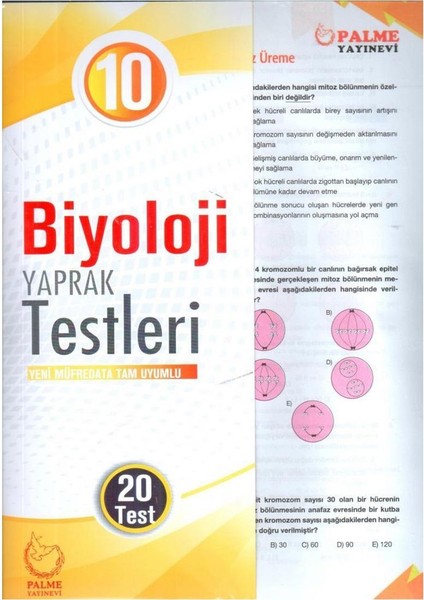10. Sınıf Biyoloji Yaprak Test