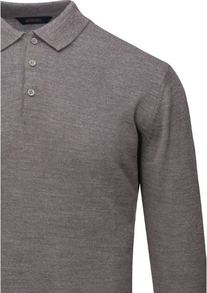 Vizon Regular Fit Polo Yaka Yünlü Kazak fiyatları