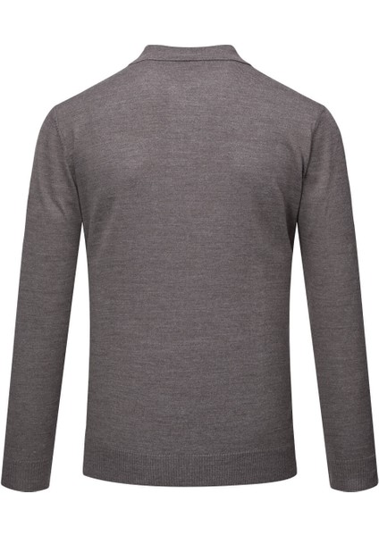 Vizon Regular Fit Polo Yaka Yünlü Kazak modelleri