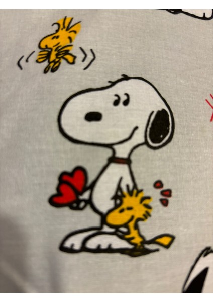 Snoopy Kare Kırlent