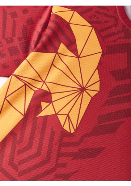 Galatasaray Morata Çocuk Design FC T-Shirt C251275 modelleri