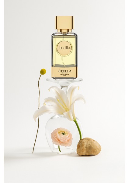 Stella Özel Kutusunda 100 ml Edp Kadın Parfümü Aromatik Koku - Esans Kalıcı Koku