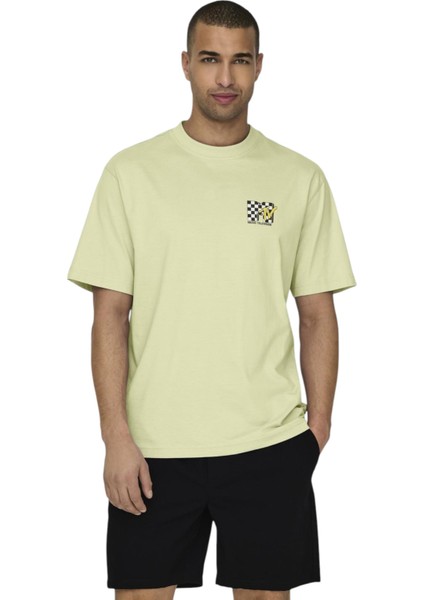 Erkek O Yaka T-Shirt 22029523