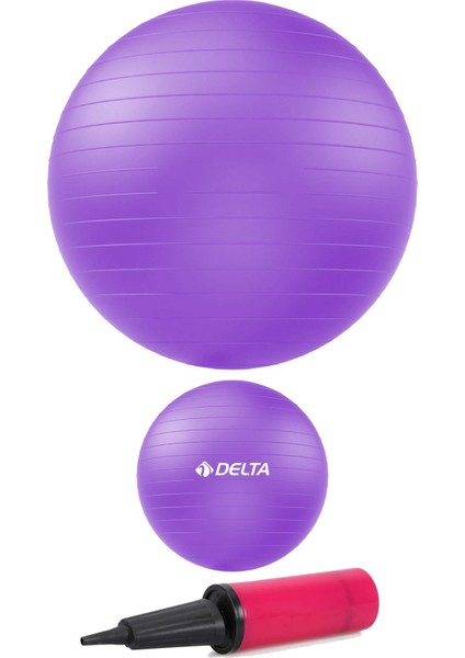 65 cm ve 20 cm Pilates Topu Seti + Çift Yönlü Pompa - Yoga, Pilates, Denge Egzersizi fiyatları