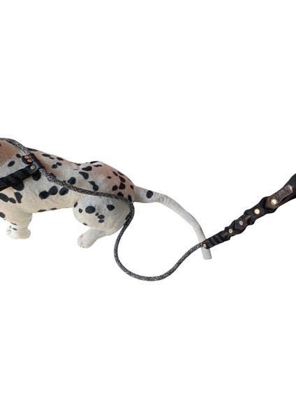 köpek boyun tasması gezdirme kayışlı hakiki deri / halat kalınlık:12mm uzunluk:120cm dog collar TB4-2 fırsatları