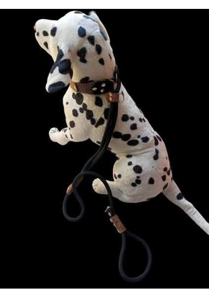 Köpek boyun tasması gezdirme kayışlı deri halat uzunluk:100cm tasma:35-60cm ayarlamalı dog collar TB4-4 fiyatları