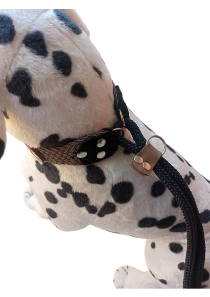 Köpek boyun tasması gezdirme kayışlı deri halat uzunluk:100cm tasma:35-60cm ayarlamalı dog collar TB4-4 indirimleri