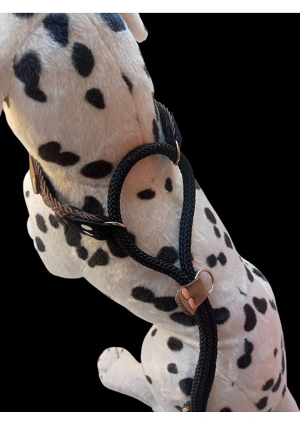 Köpek boyun tasması gezdirme kayışlı deri halat uzunluk:100cm tasma:35-60cm ayarlamalı dog collar TB4-4
