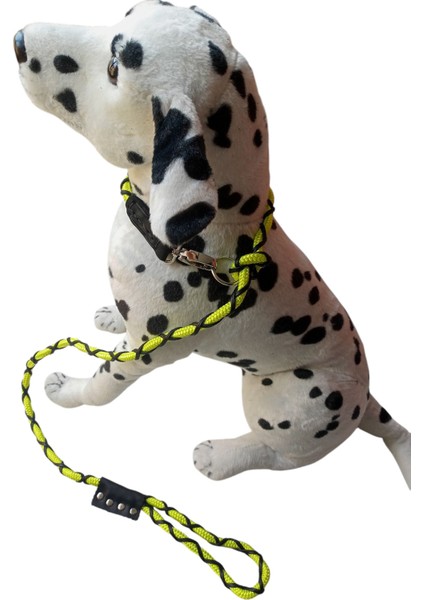 Köpek gezdirme kayışı boyun tasmalı halat suni deri yeşil siyah kalınlık:8mm gezdirme kayışı:120-160cm tasma: standart ayarlanabilir dog leash TB5-2