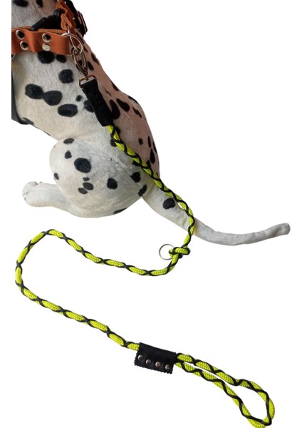 Köpek gezdirme kayışı boyun tasmalı halat suni deri yeşil siyah kalınlık:8mm gezdirme kayışı:120-160cm tasma: standart ayarlanabilir dog leash TB5-2 indirimleri
