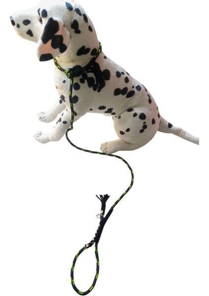 Köpek tasması Gezdirme kayışı Orta ırk Halat:6mm Uzunluk:120cm tasma: Ayarlamalı dog collar TB5-3