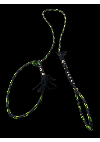 Köpek tasması Gezdirme kayışı Orta ırk Halat:6mm Uzunluk:120cm tasma: Ayarlamalı dog collar TB5-3 fırsatları