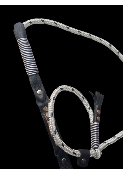 Köpek Boyun Tasması Gezdirme Kayışlı Hakiki Deri Halat Kalınlık:12mm Uzunluk:120cm Dog Leash Tb5-5 indirimleri