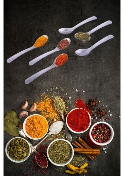 12’li Baharat Kaşığı Seti Plastik, Tuz Şeker Karabiber Kakao Kahve Kekik Kaşığı 12’li Set fiyatları