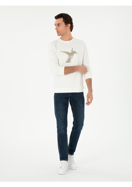 Erkek Ekru Regular Fit Bisiklet Yaka Sweatshirt 50300976-VR019