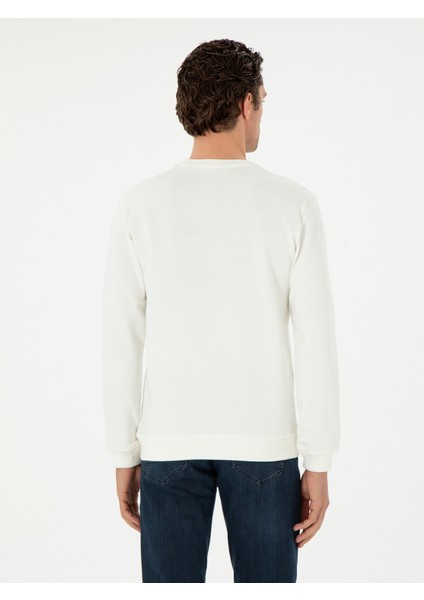 Erkek Ekru Regular Fit Bisiklet Yaka Sweatshirt 50300976-VR019