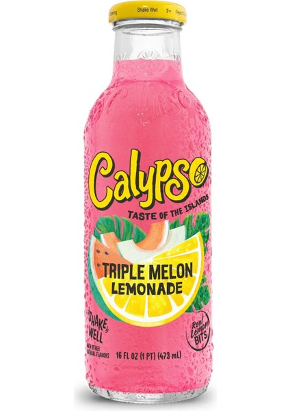 Triple Melon Lemonade 473ML