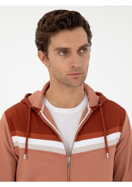 Erkek Kahverengi Regular Fit Sweatshirt 50292490-VR040