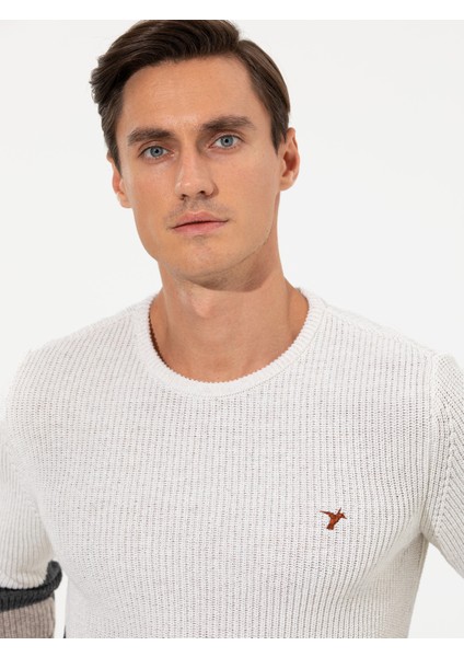 Erkek Bej Slim Fit Yün Karışımlı Bisiklet Yaka Triko Kazak 50258841-VR011