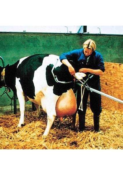 Doğum Kirkosu Wink Kirko Kolu indirimleri