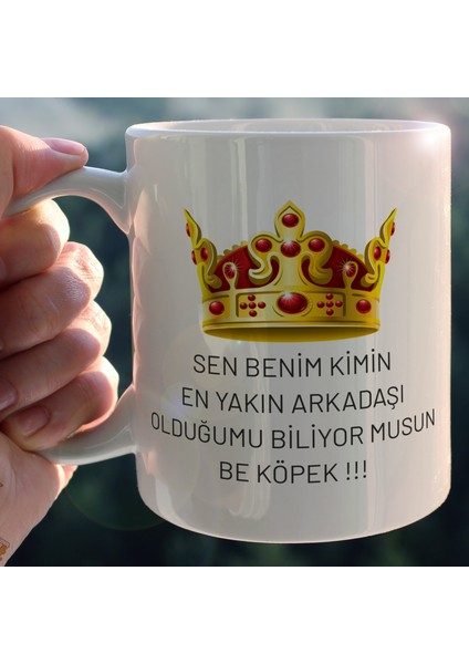 Prens Karakter Temalı Beyaz Kupa Bardak - HMK-00117-09