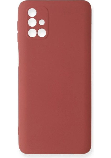 Samsung Galaxy M31S Kılıf Nano Içi Kadife Silikon - Kiremit Ynsmr