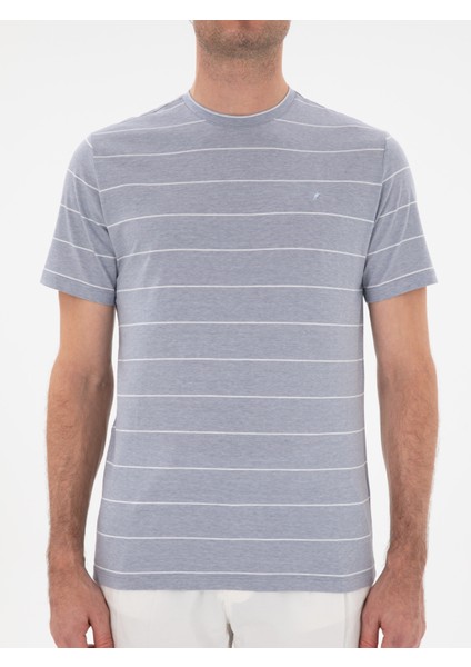 Erkek Beyaz Regular Fit Bisiklet Yaka Çizgili T-Shirt 50301352-VR036