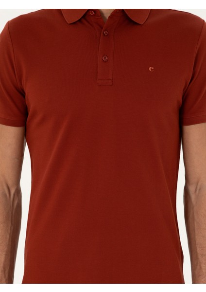 Erkek Kiremit Slim Fit Basic Tişört 50284769-VR031